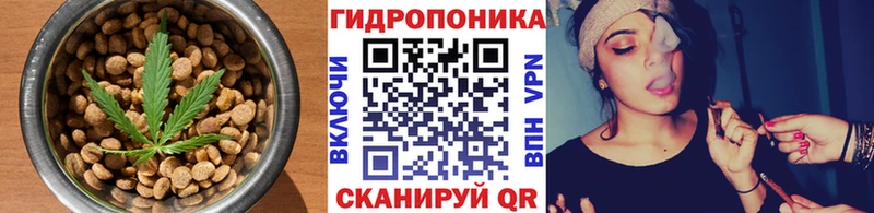 Cannafood марихуана  кракен как зайти  Собинка 