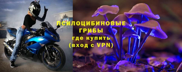 гидропоника Алзамай